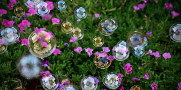 Bubbles floating in front of green leafy background