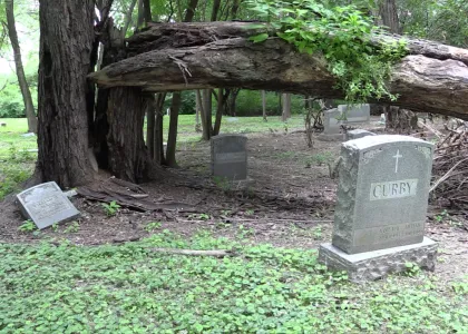 Washington Park Cemetary